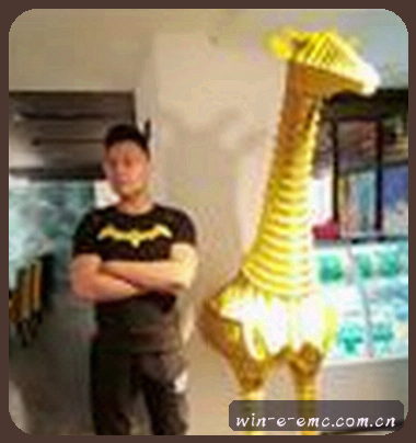何佳